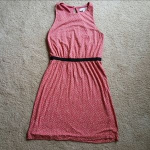 LOFT cotton dress